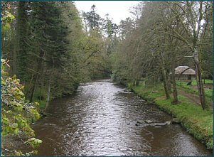 River Doon Salmon Fishing