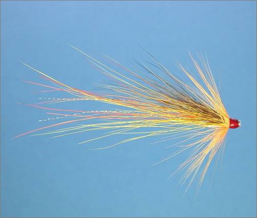 Tying the Yelly Belly Shrimp - step 5